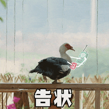 《向往的生活》,向往的生活!