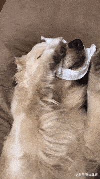 原创搞笑gif:美女说啥呢,我听不见你离我近点