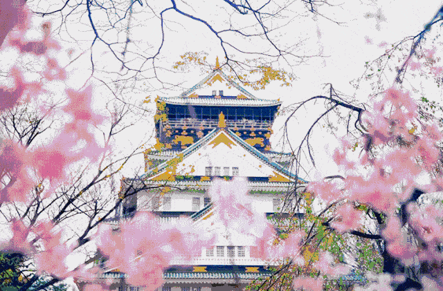 日本官宣39县先行解禁44中国人表示疫情后最想去旅游的国家是日本