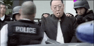 苏大强的保镖一枪打断警察胳膊