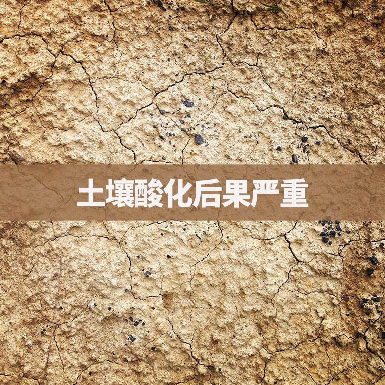 盘点土壤常见问题