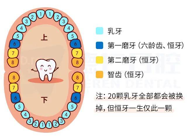 德仁口腔专家说:儿童蛀牙危害可不小,预防儿童龋齿有妙招