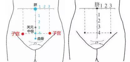4,子宫穴:调经止带,活血化瘀,中医预防及调理女性妇科病存在的穴位.