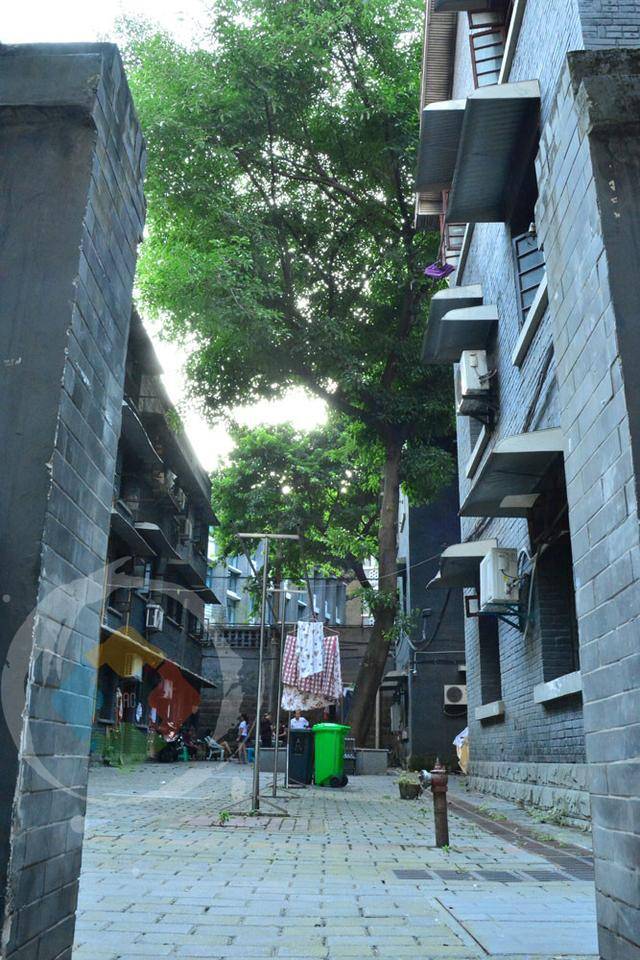 大溪沟人口_安吉大溪沟(2)