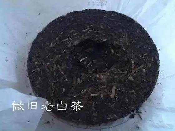 大花式|你分得清楚吗？福鼎白茶：揭秘老白茶6大花式造假