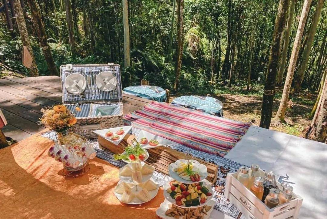 "夏日野餐"拍了拍你