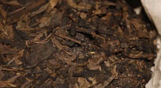 丫环|井栏壶中寓意深，不懂井栏壶，人生难成功！出梅入伏，高考顺利