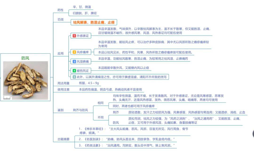 今天,我们将余下的7种发散风寒药继续以思维导图的方式呈现,送给大家