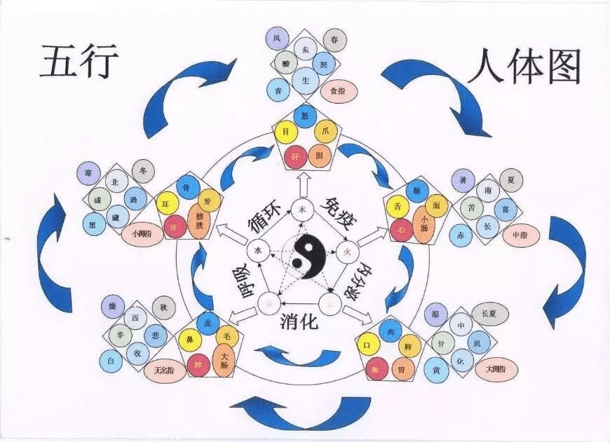 6ad35224017c4ebe890504d4422788ab.png