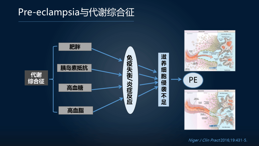 疾病|周宏伟：面对高致命孕期疾病，我们如何在肠道找到突破口？