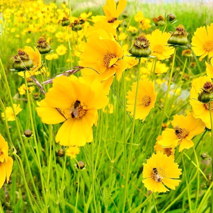 画风|原创《虽然是精神病但没关系》第7集绘本曝光！画风不暗黑，是文英旧作？