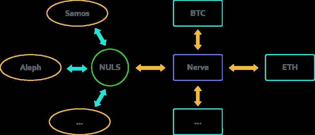 Nerve|一文读懂跨链新星Nerve的优势与想象空间