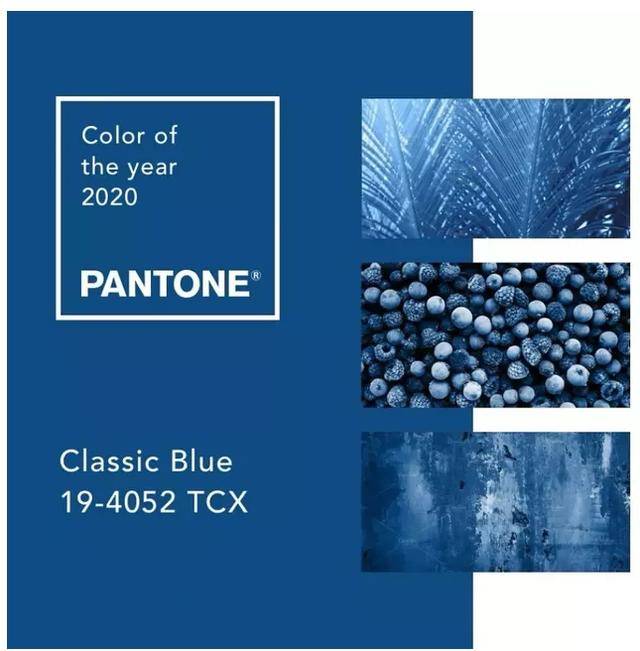 世界|世界上最优雅的橙