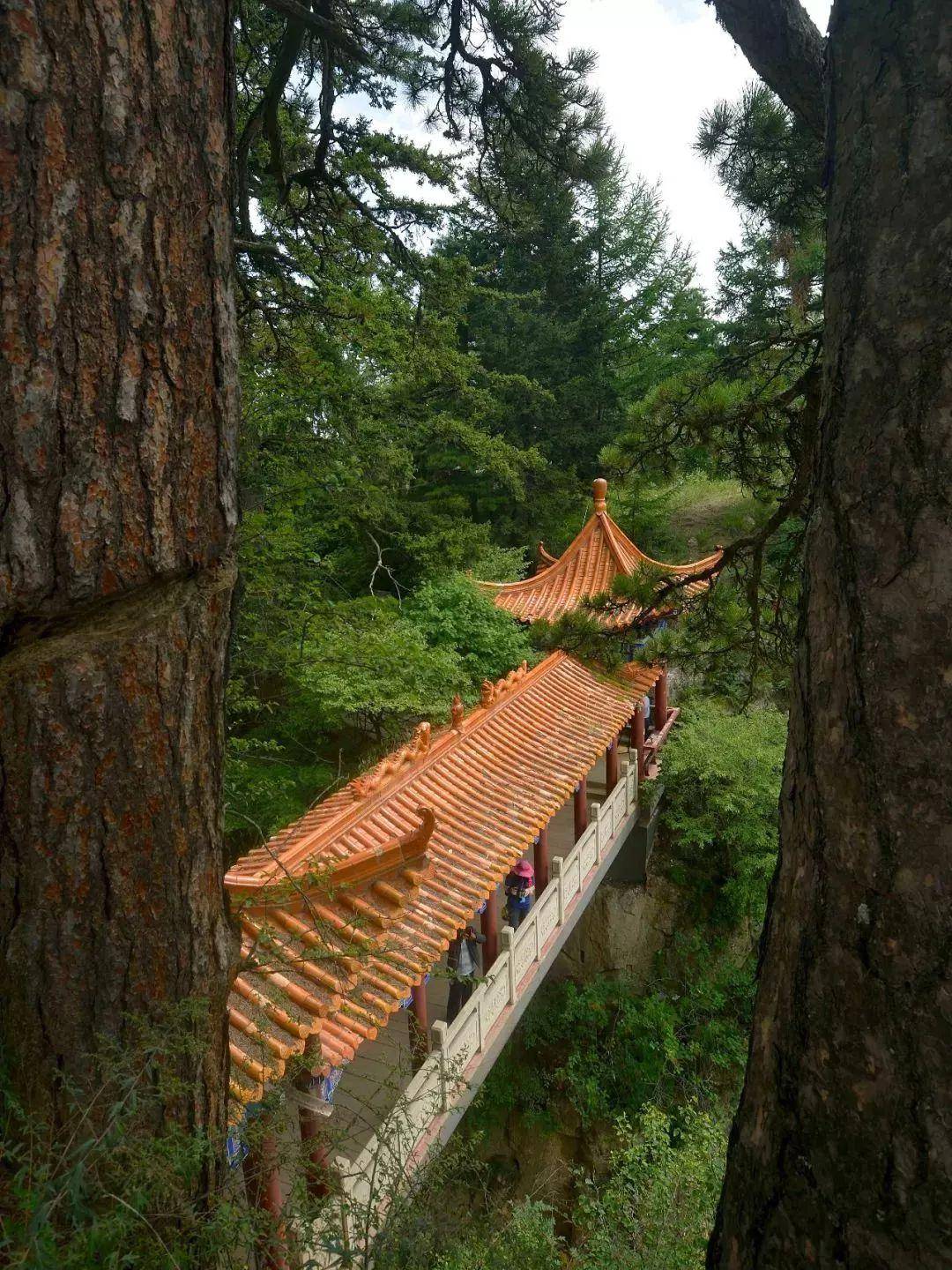 漳县贵清山