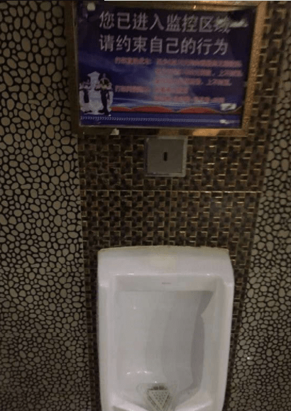 原创
这么冷的天,我妈说怕它冻着...