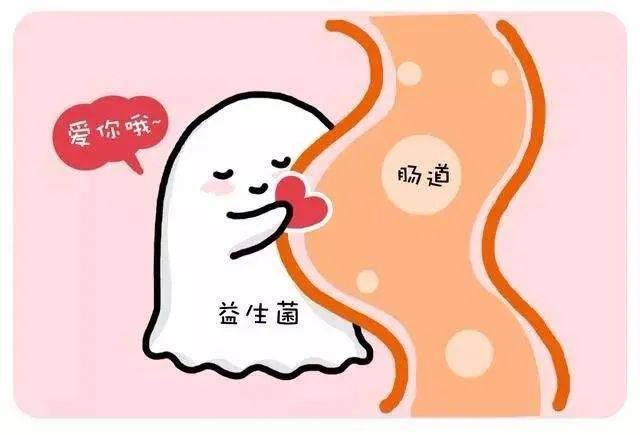 来月经了还可以喂奶吗？孕妈可以吃益生菌吗？