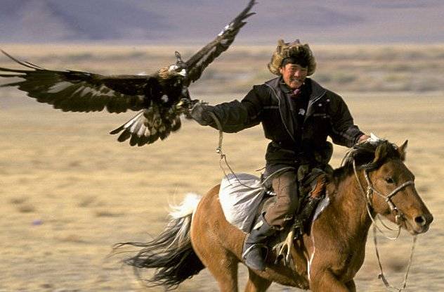 金鹰狩猎是蒙古族哈萨克少数民族的一种狩猎方式,他们使用金鹰来追踪