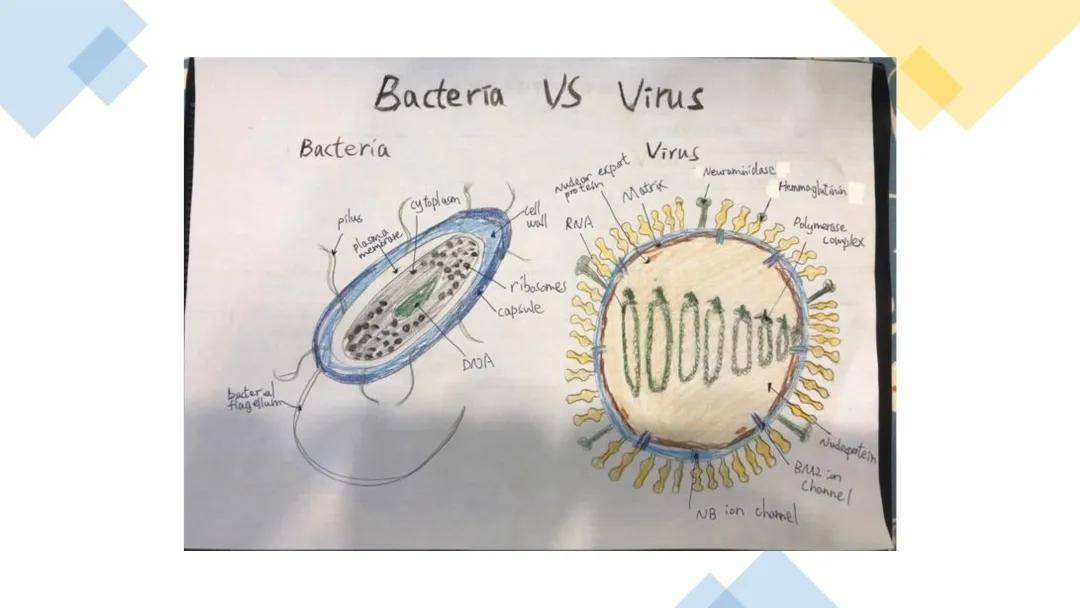 威达|艾威达告诉你：为什么探究式学习是最好的教育？