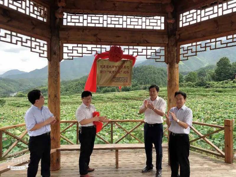 建立道地药材产业化基地,打造以文鑫莲业为龙头的中药材产业基地,提供