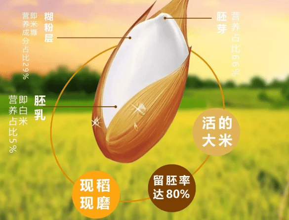 智能无人碾米机现碾胚芽米的营养价值