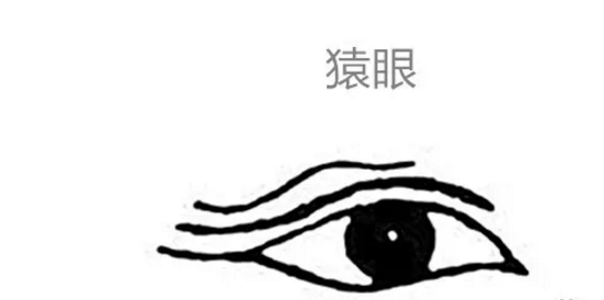 你的眼睛形状代表着什么样的自身运势