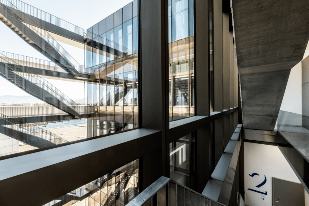 ȫ����ţ�ݳ�Ʒ������!��������ֵ������İٴ������±���ɶ��?