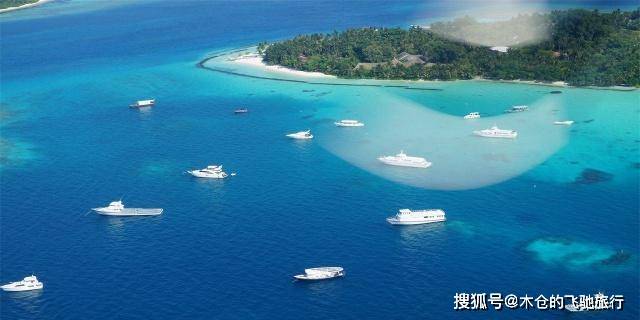 原创堪比马尔代夫的小岛:拥有世界唯一的粉红色沙滩,却被小猪占领