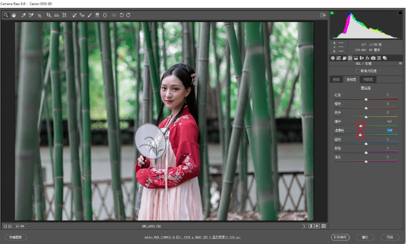 调整|探图摄影师专栏｜古装竹林人像调色详解