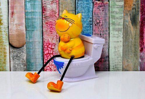 宝宝|捏积派——宝宝什么时候可以开始如厕训练?有哪些注意事项?