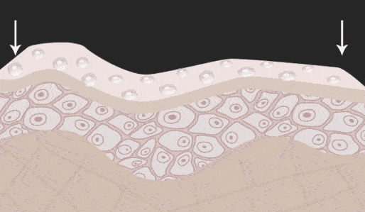 必备|小众宝藏品牌｜敏皮必备，修红王者，Tunemakers到底多好用？