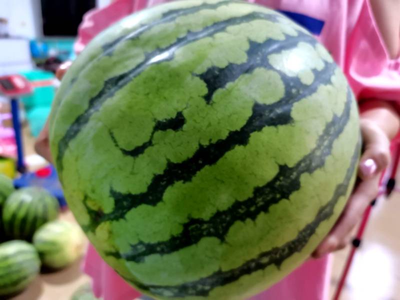 5ff53413dbf84464a9b2199ef9c3401f.jpeg
