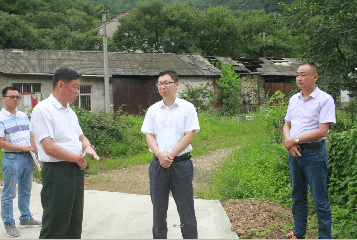 舒城县委常委,副县长杨丙红到河棚镇调研指导乡村旅游业发展工作