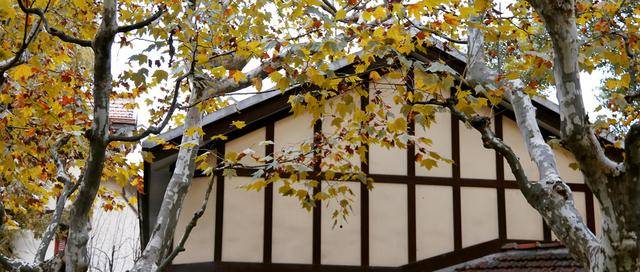 木头|女儿的嫁妆都是木头打造的?日本人有多爱木头,一生都离不开