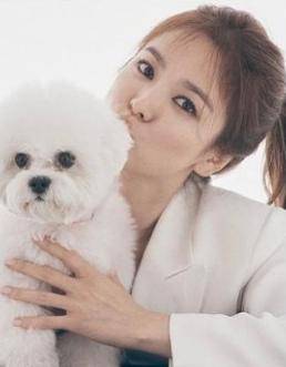 39岁宋慧乔与狗狗嘟嘴合照,笑容灿烂状态超好