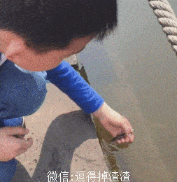 搞笑gif段子:女人婚前婚后的对比