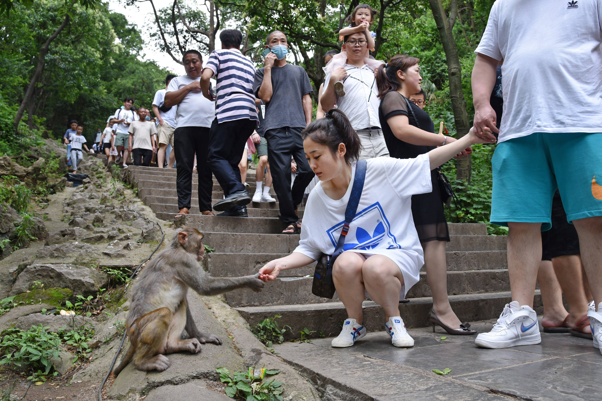原创多彩贵州行│在贵阳黔灵山公园,和猕猴来了一次亲密接触