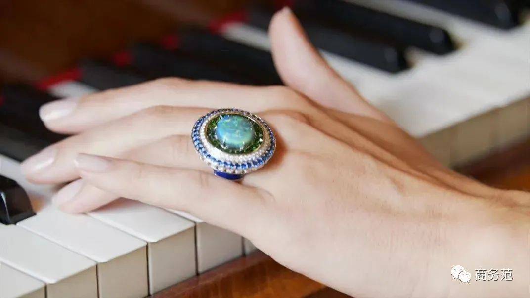 pdf|全世界富豪名媛、顶级VVVVIP们，今年最想要的珠宝清单.pdf