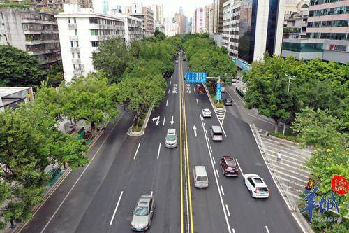 广州环市路新设防走神标线防司机走神撞护栏