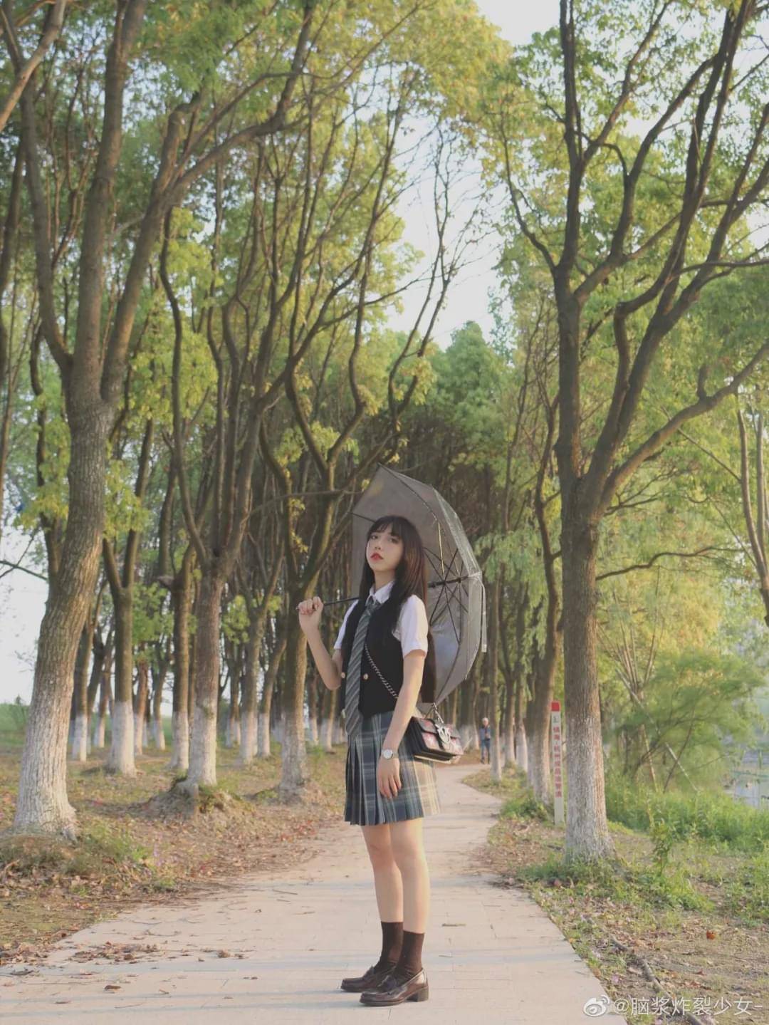 jk校服:大家的森林都来信了吗