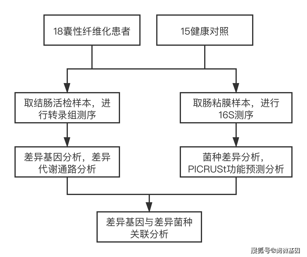 实验设计流程图