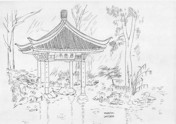 走遍西湖边200座亭子,浙江大学生手绘的亭子你见过几座?