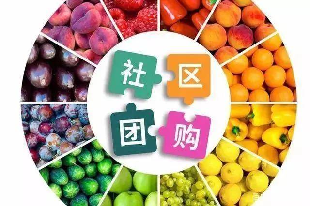 社区团购“拼”不起来 成也团长败也团长(图4)