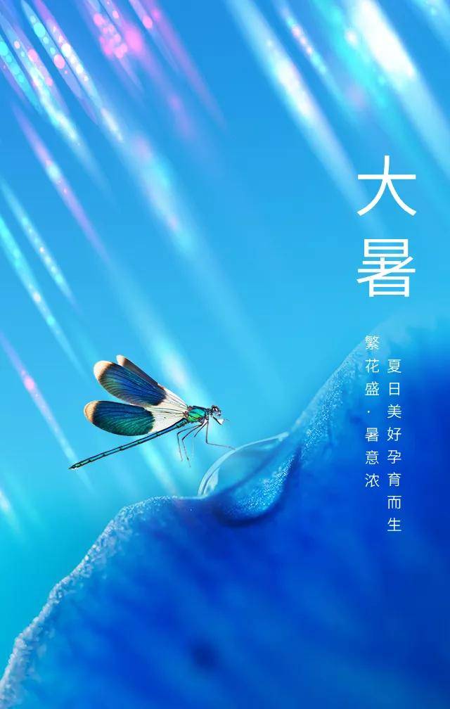 20句大暑文案摘句,必备文案素材
