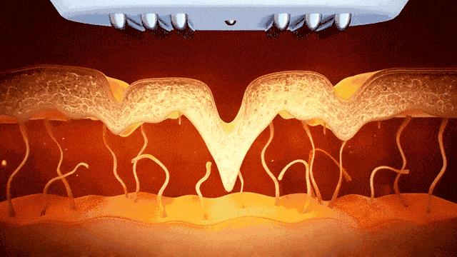 陈小春|陈小春管同龄人叫“奶奶”,这也太尴尬了吧!哈哈哈哈……