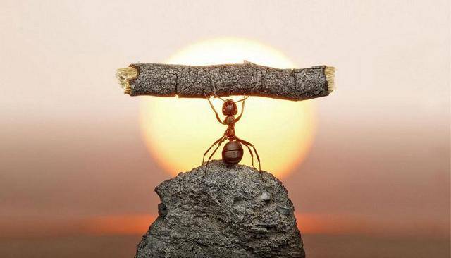 蚂蚁集团就在你面前，你看它几分像"从前&