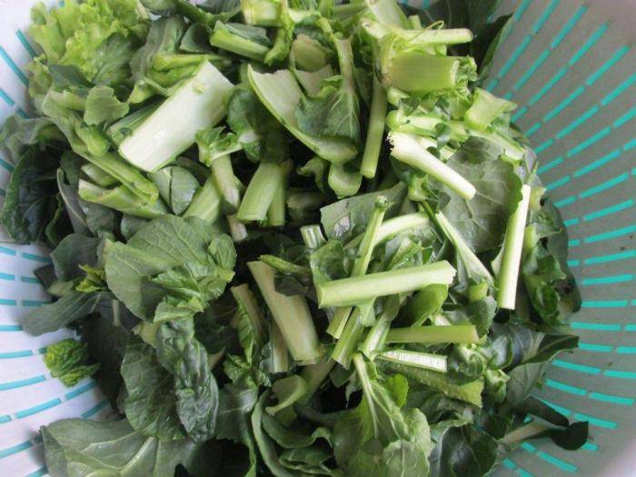 苔菜|刮油防便秘,越吃越苗条,乳腺健康不生病多吃这个菜