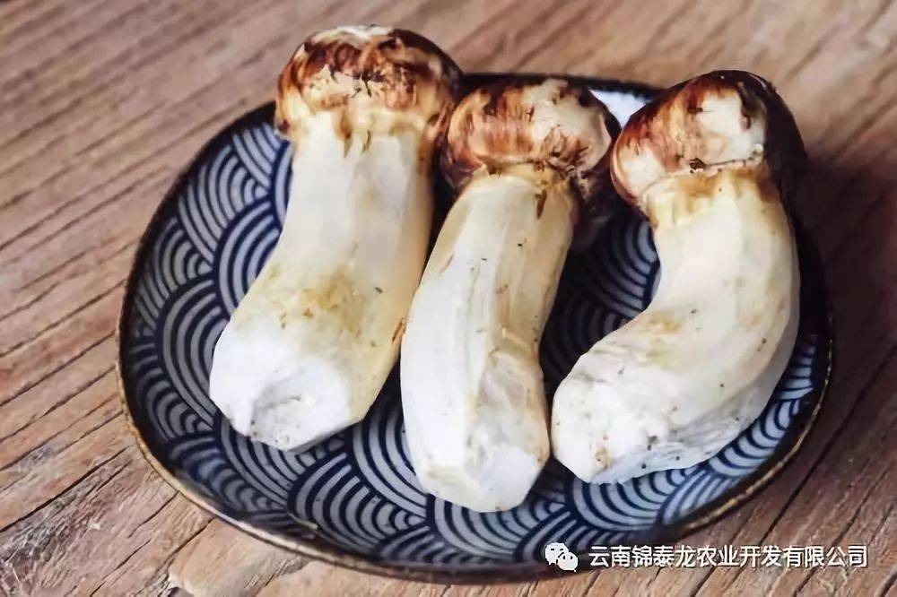 云南新鲜松茸如何清洗,保存,料理