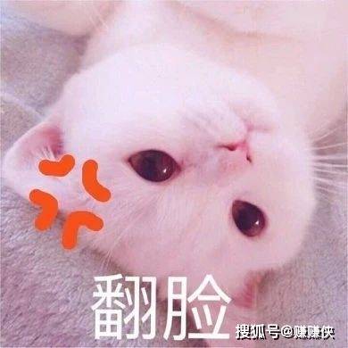 可爱表情包图片:我说超开心,你相信吗