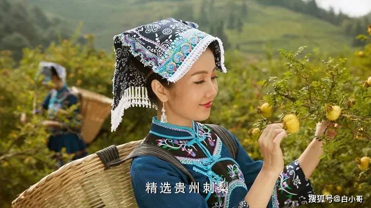 华点康品:全民提高免疫力,刺梨维c王来助力!
