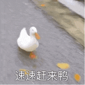 fa|鞠婧祎又换新头，4.0版终于不照骗了？美绝！